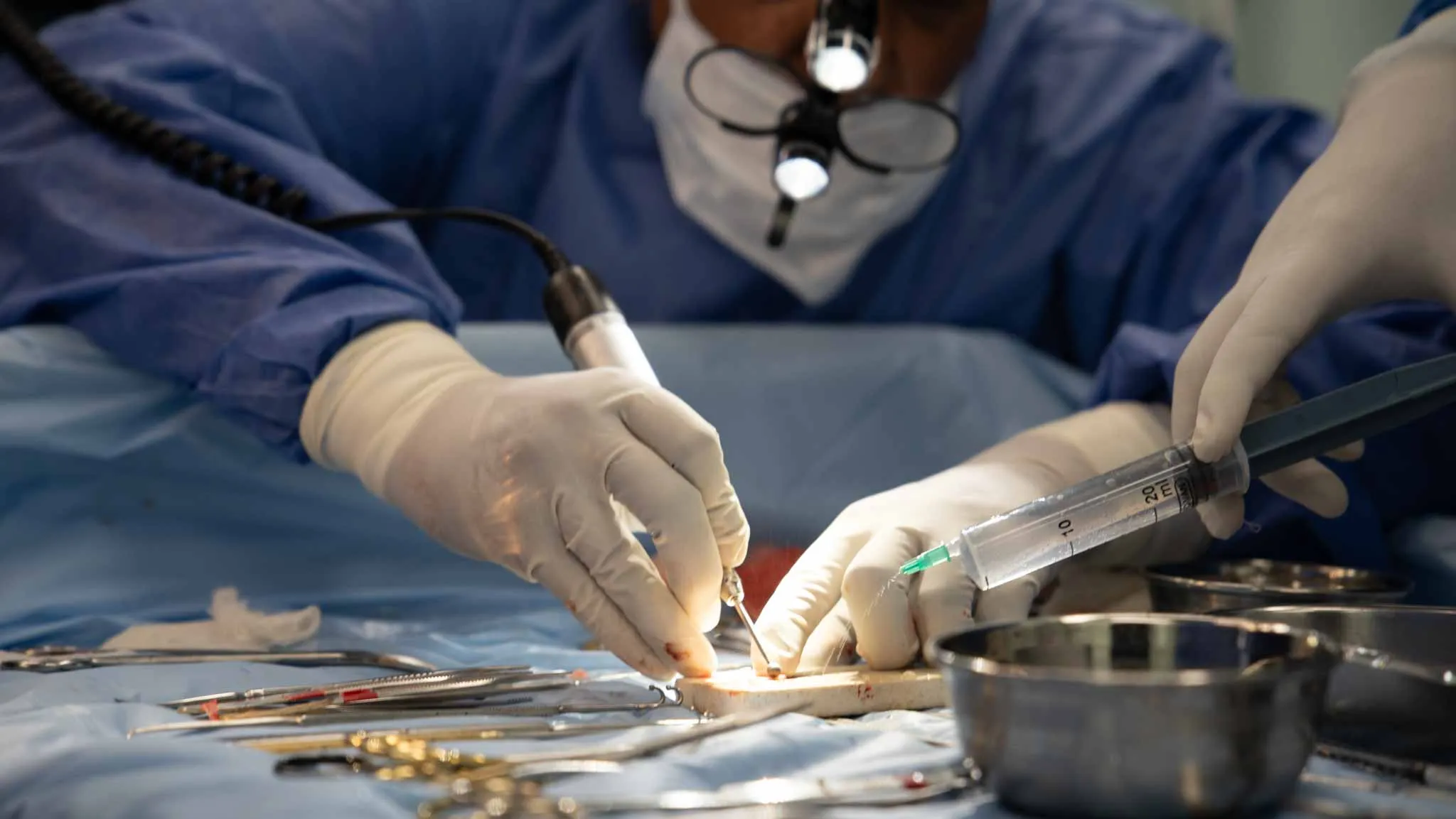 500+ Doctors Trained